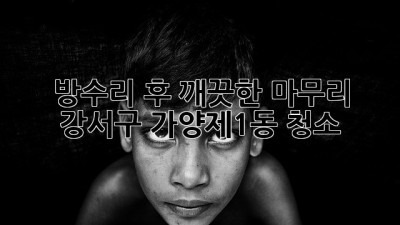 방수리 후 깨끗한 마무리: 강서구 가양제1동 청소