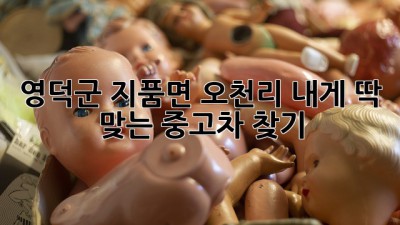 영덕군 지품면 오천리, 내게 딱 맞는 중고차 찾기 🚗💨