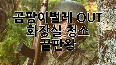 곰팡이&벌레 OUT! 화장실 청소 끝판왕🧽