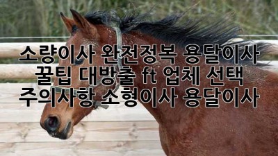 📦 소량이사 완전정복! 용달이사 꿀팁 대방출 (ft. 업체 선택 주의사항) #소형이사 #용달이사